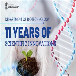 11 years of Scientific Innovations