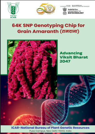 64K SNP Genotyping chip for grain Amaranth