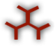National Institute of Immunology