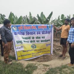 Biotech-KISAN_Promotion of cultivation of tissue culture of banana_Bihar