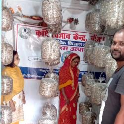 Promotion of scientific mushroom cultivation_Bihar