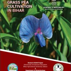 Revival of Grass Pea Cultivation in Bihar