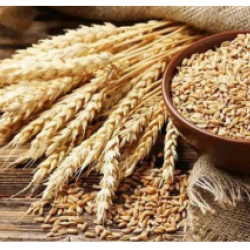 The Weekly News For 31th August to 6th September 2020