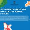 Emerging Insights into Staphylococcal Food Poisoning and MRSA: A Call  for Enhanced Surveillance and Research