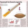A brief outcome of DBT supported project on 'Development of a new variety of Basmati