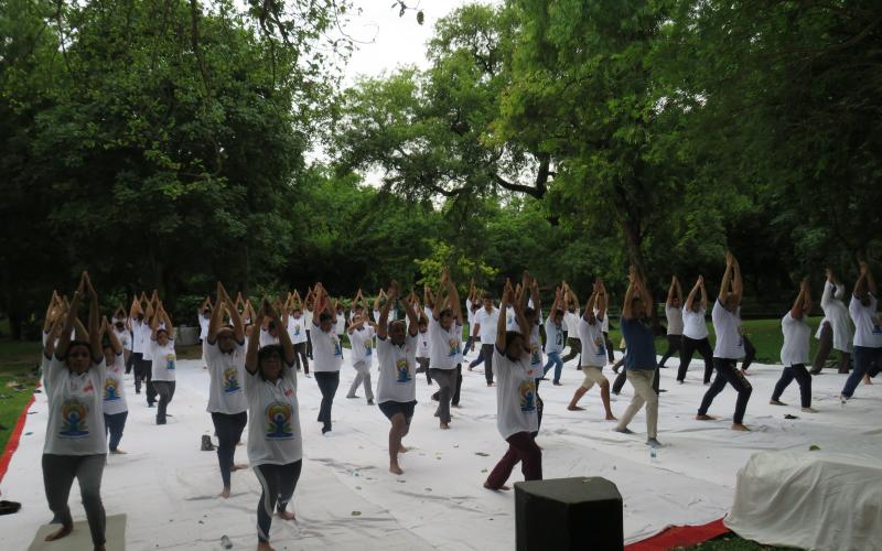 Yoga Day 2023