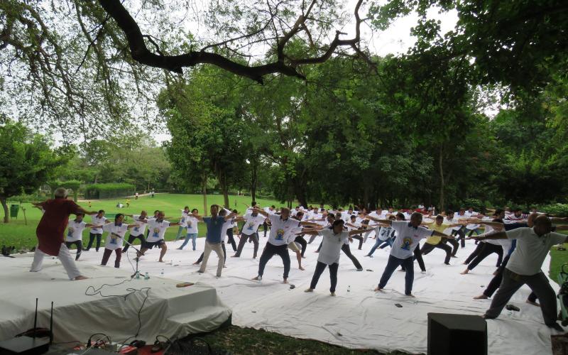 Yoga Day 2023