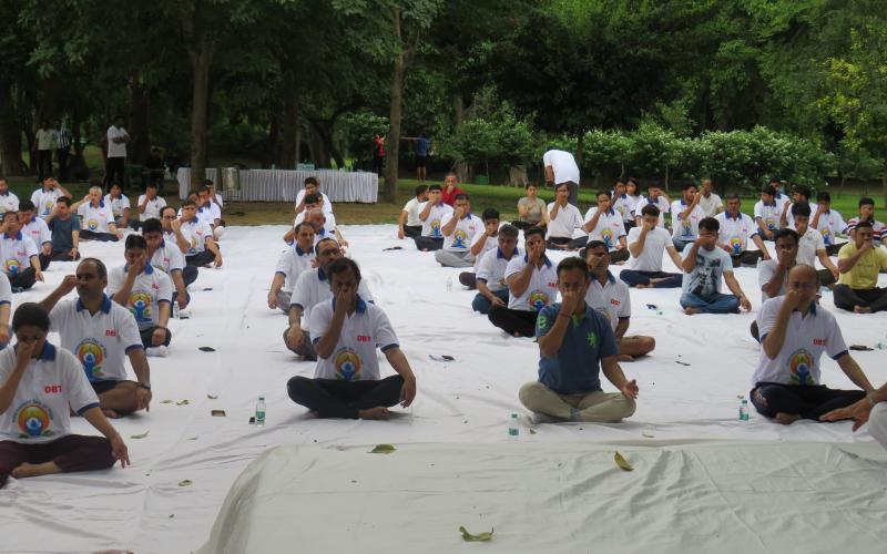 Yoga Day 2023