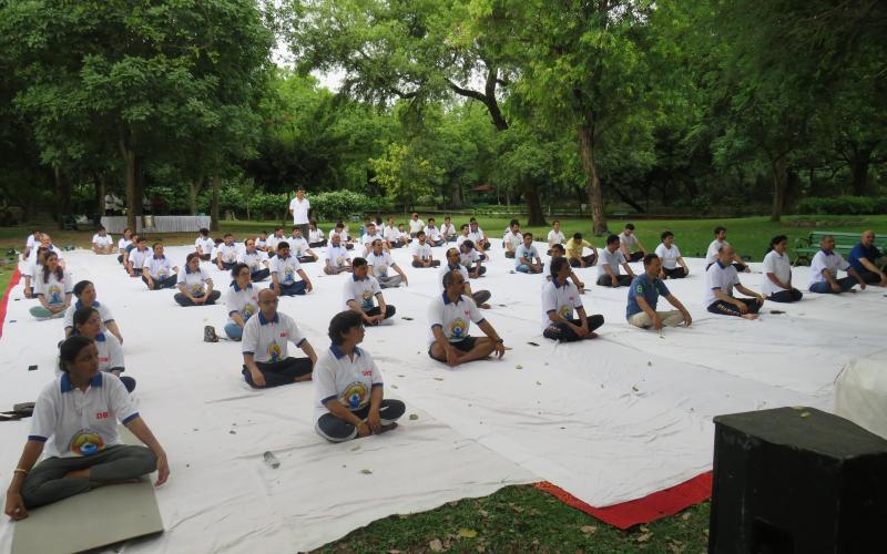Yoga Day 2023