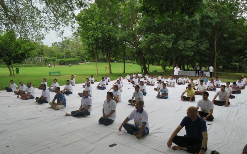 Yoga Day 2023