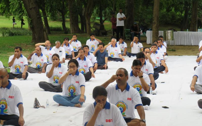 Yoga Day 2023