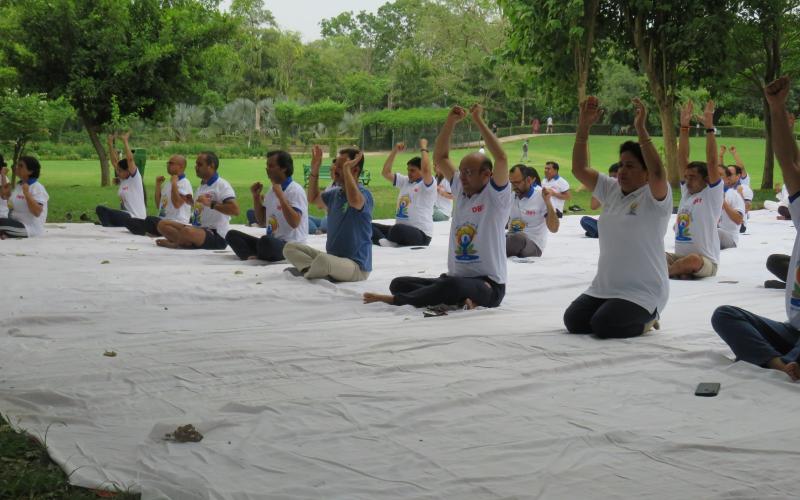 Yoga Day 2023
