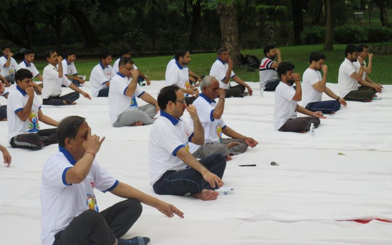 Yoga Day 2023