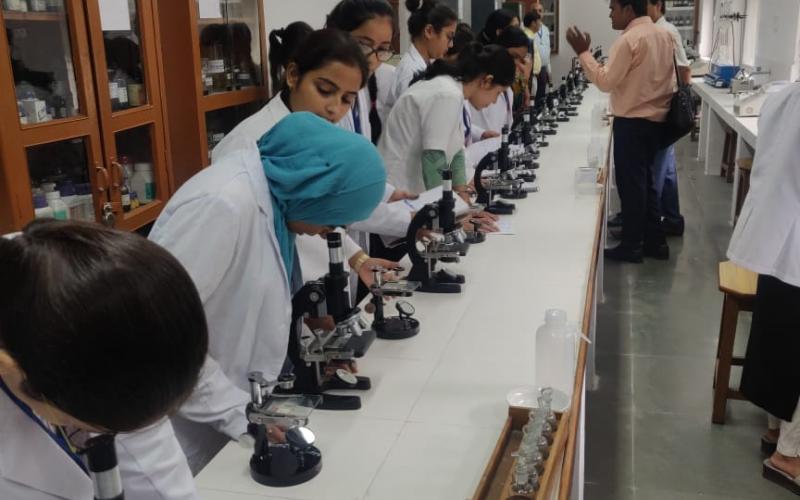 Star College Programme