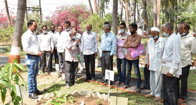 Technologically empower the farmers on cultivation & processing of medicinal & aromatic plants_Gujarat