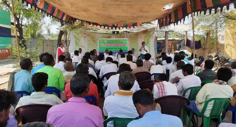 Biotech KISAN_Promotion of GAP with improved pulses_Guntur_Andhra Pradesh