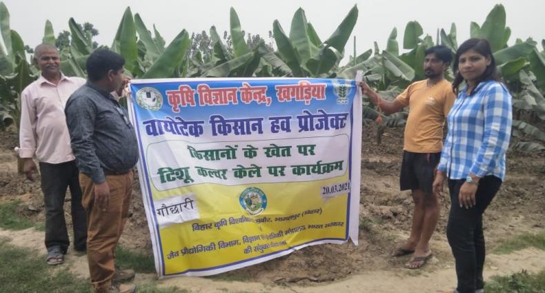 Biotech-KISAN_Promotion of cultivation of tissue culture of banana_Bihar