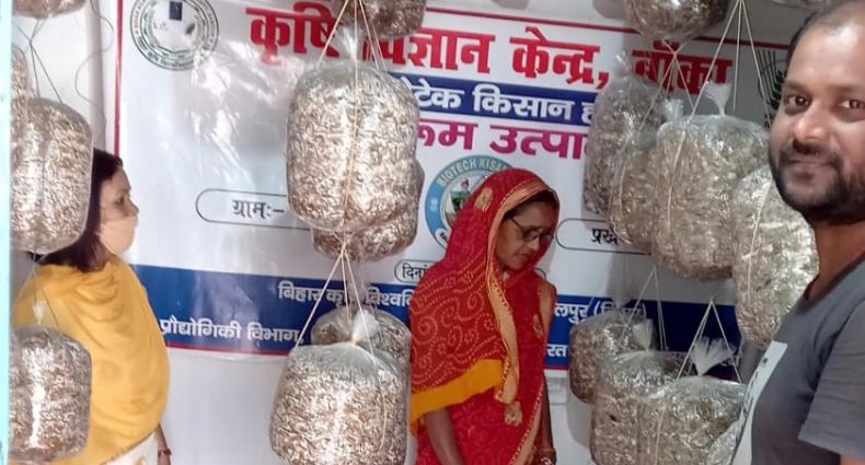 Promotion of scientific mushroom cultivation_Bihar