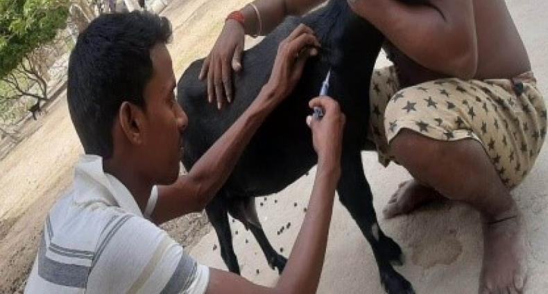 Promotion of scientific animal husbandry practices_West Bengal