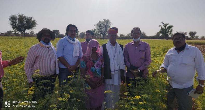 Promotion of GAP IPM cumin cultivation_Rajasthan