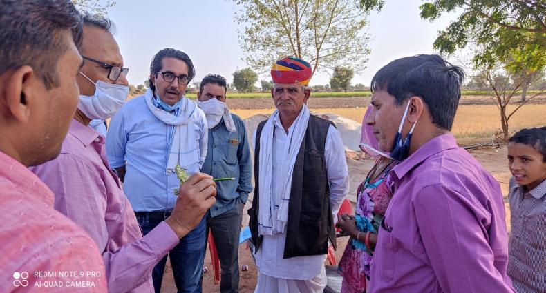 Promotion of GAP IPM cumin cultivation_Rajasthan