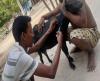 Promotion of scientific animal husbandry practices_West Bengal