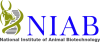 National Institute of Animal Biotechnology