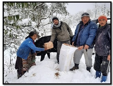 Fig:CFB distribution and technology demonstration to the farmers in Sikkim 