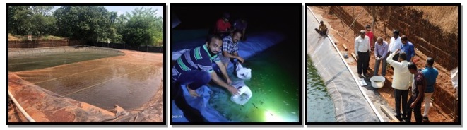  Fig: Fish culture farms; Seed stocking and Health check-up and monitoring on site.