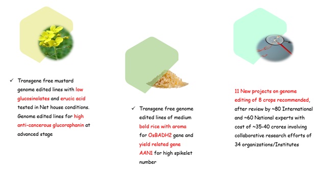 CRISPR activation 