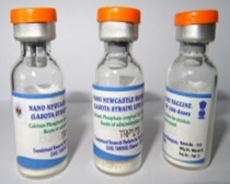 Nano-Newcastle disease virus vaccine