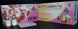 Subviral Particle Based Infectious Bursal Disease Vaccine
