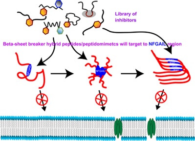cyclic hybrid peptides