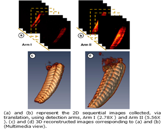 Multi-wavelength Selective Plane Illumination Microscope