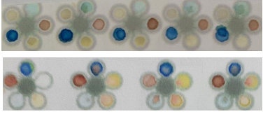 Response of the paper strip with different blood samples